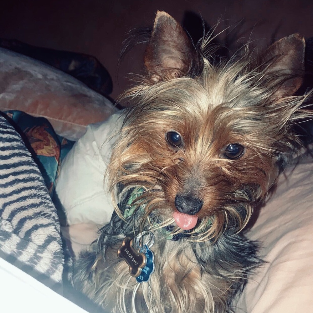 Meet your Posher, Whitney